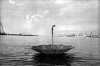 photography gallery pictures compositions Fotografie Photographie Bilder Galerie art compositions Serien views Ansichten Portrait Landschaften landscapes DDR GDR exhibition Ausstellung travel Reise black white Alpen Stuttgart west coast trail corse New York Washington Scotland Rostock Karl-Marx-Stadt Chemnitz Falkenstein Geyer Torsten M�ller Mueller people series different topics sorted alpine mountains special spirit of the moment